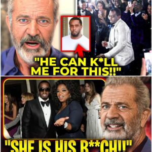 (VIDEO) Mel Gibson Finally Expose Diddy and His Power Slaves!! -YN