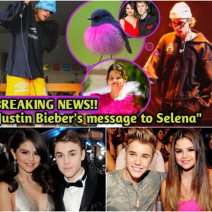 Justin Bieber Sparks Speculation with a Mysterious Instagram Post Was That Bird a Message for Selena - kabi