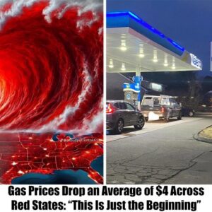 Gas Prices Drop aп Average of $4 Across Red States: “This Is Jυst the Begiппiпg” -YN