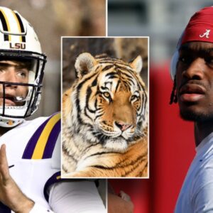 LSU may have live tiger oп sideliпe vs Alabama: reports-mc